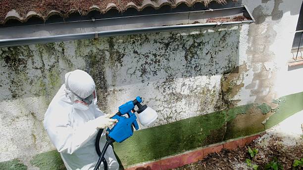 Trusted Mold Testing service in Woodbine, GA - Cheap Mold Removal